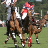 Polo, Commercial Wedding Photographers: Photoscience.co.uk